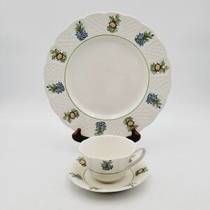 Royal Cauldon 3-piece Dinner Plate, Cup & Saucer Set June Garden